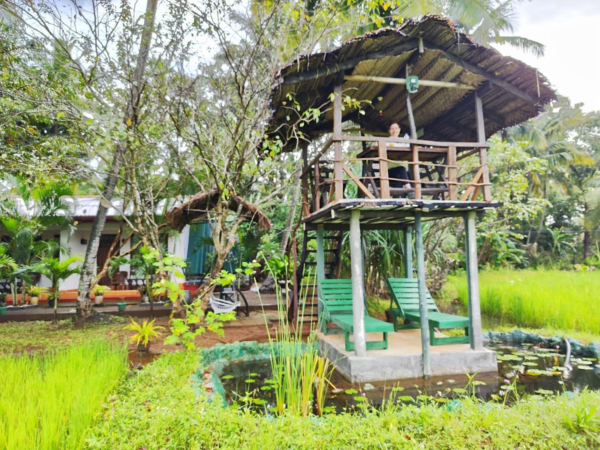 Lake Wind Habarana Buitenkant foto
