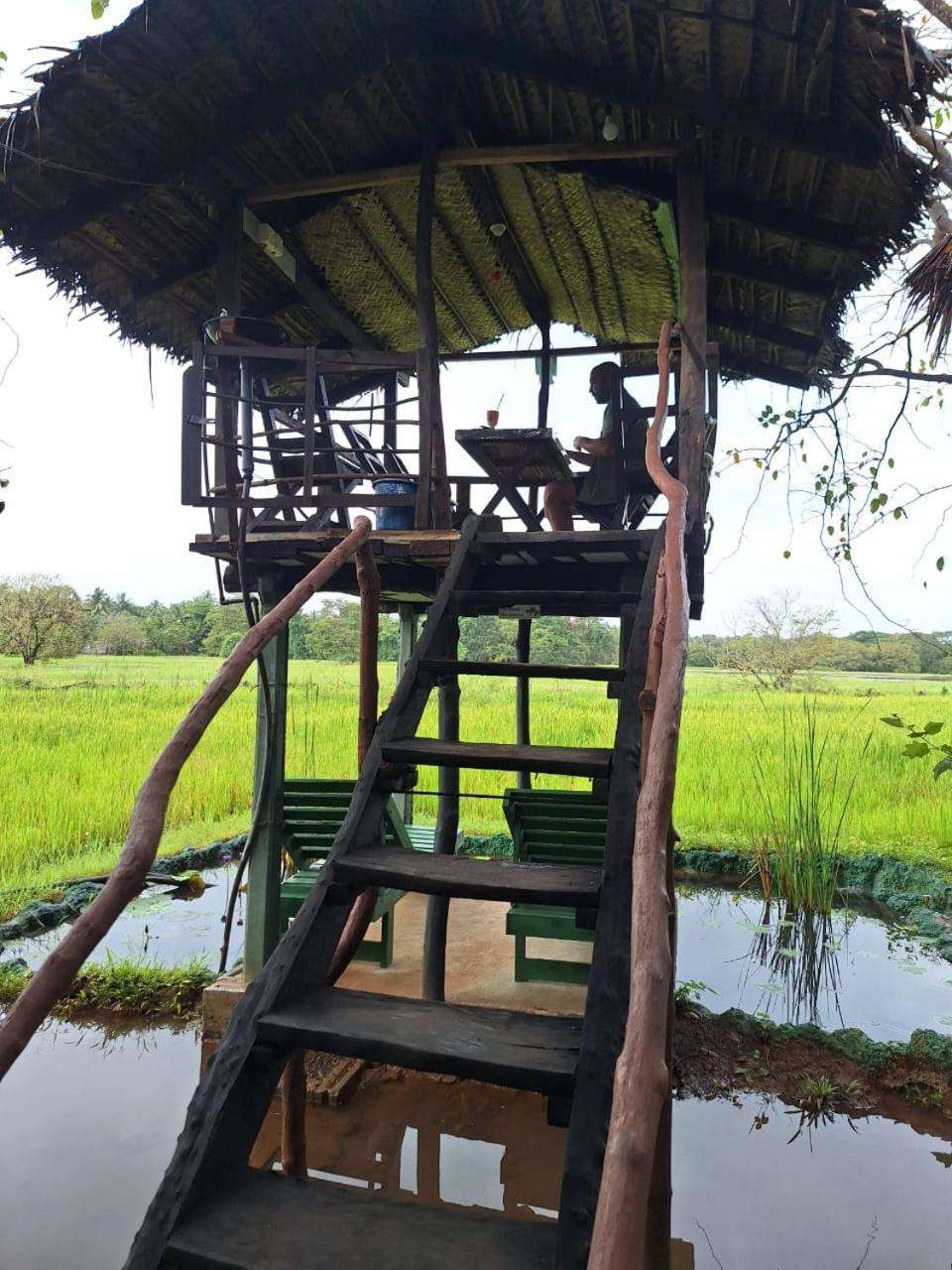 Lake Wind Habarana Buitenkant foto